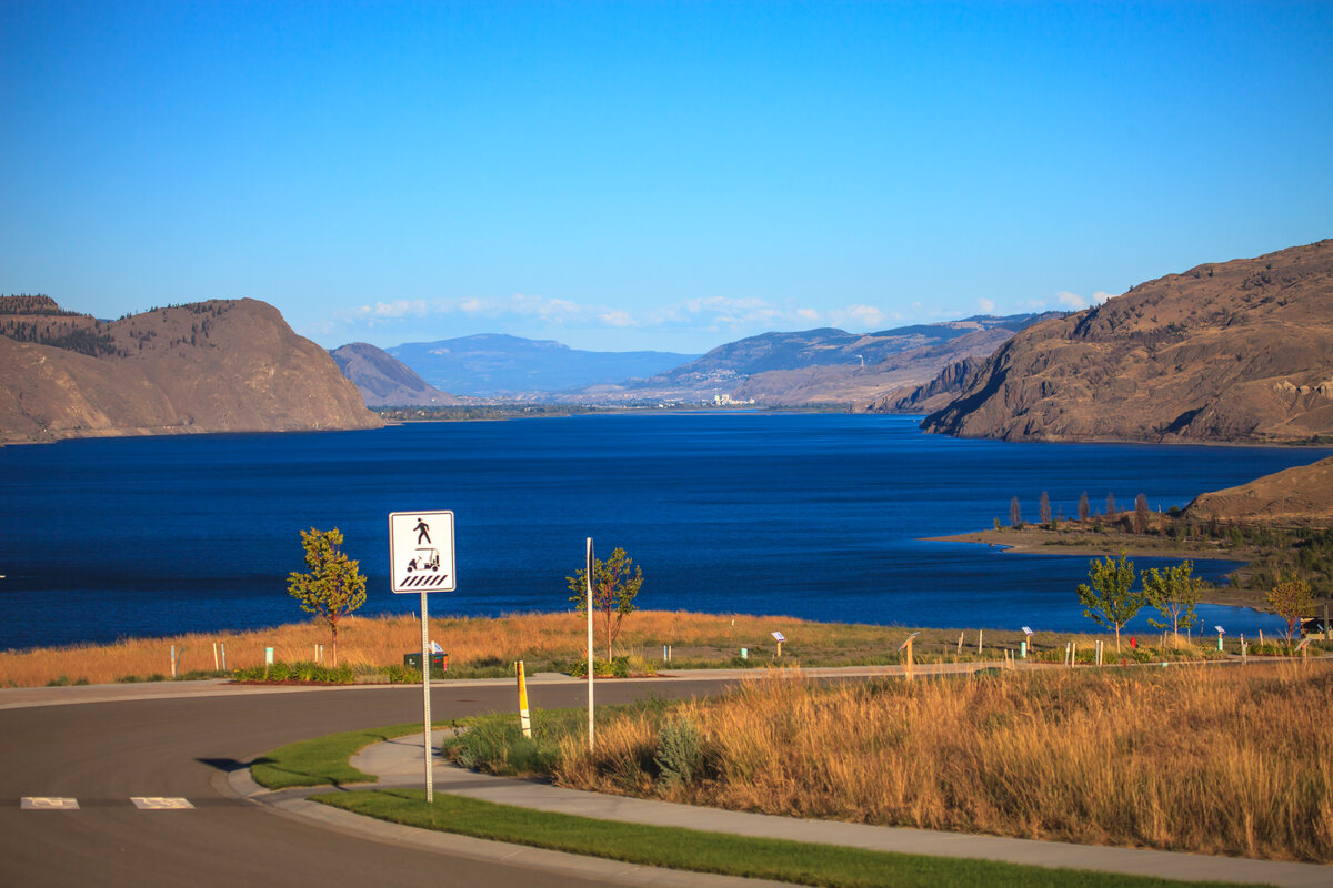 Tobiano